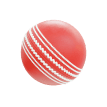 Sports & Cricket icon
