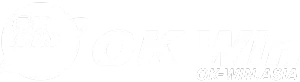 OK Win Download Logo